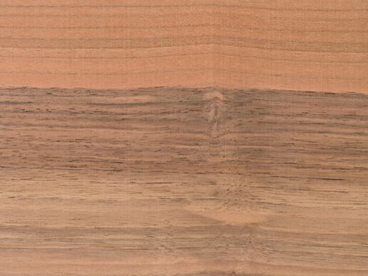 Nussbaum europäisch natur