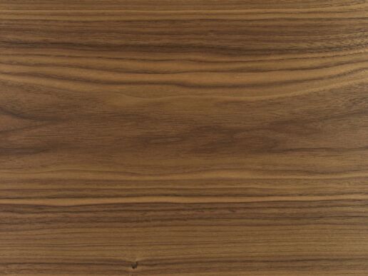 Nussbaum amerikanisch natur