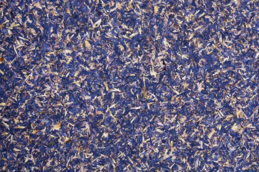 Organoid Kornbluama blau