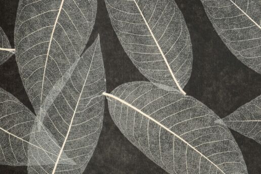 Organoid SKELETBLATTLA medium