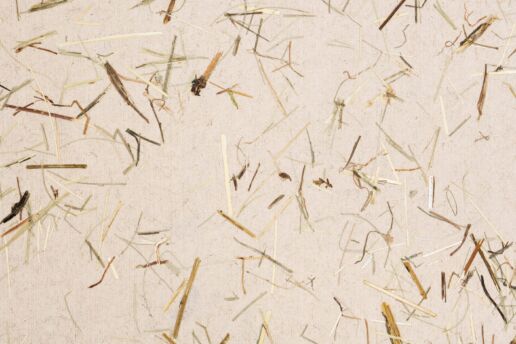 Organoid Wildspitze light