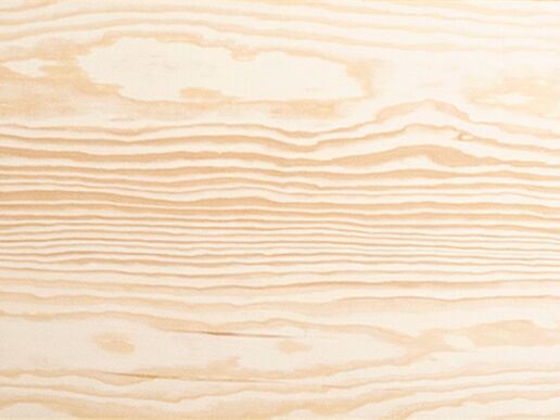 Seekiefer matt lackiert